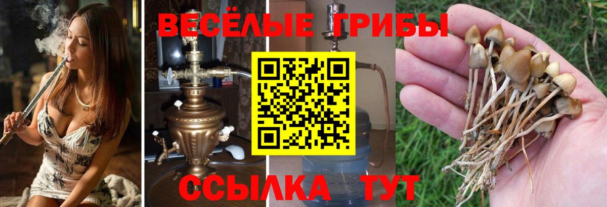 Кисловодск  как найти   Вход с VPN  Галлюциногенные грибы ЛСД 